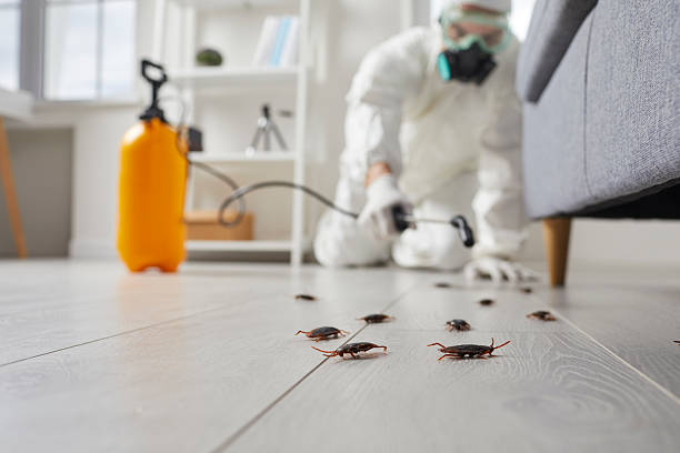 Commercial Rodent Management in Gaylord